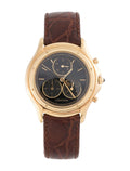 Cougar Chronoreflex Watch