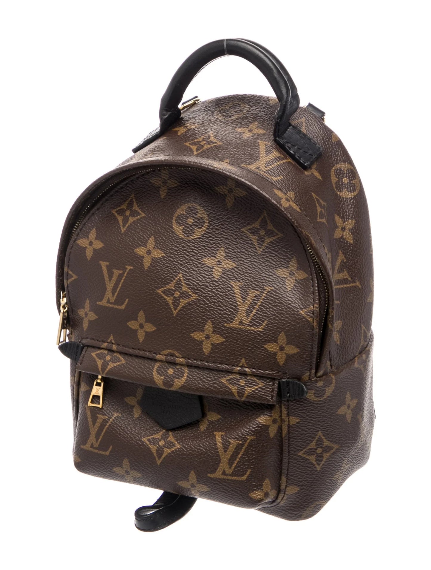 LV Monogram Palm Springs Mini