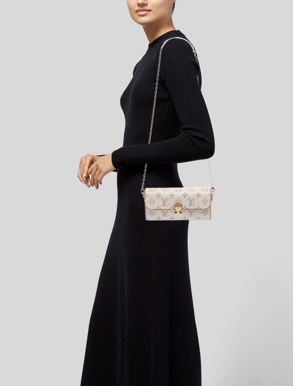 LV Monogram Pochette Camille