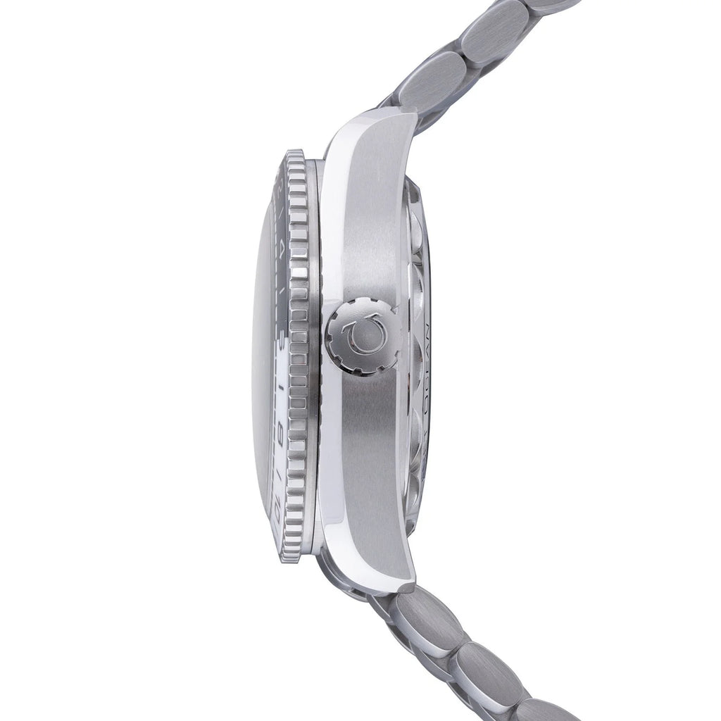 Seamaster Planet Ocean 600M GMT Watch