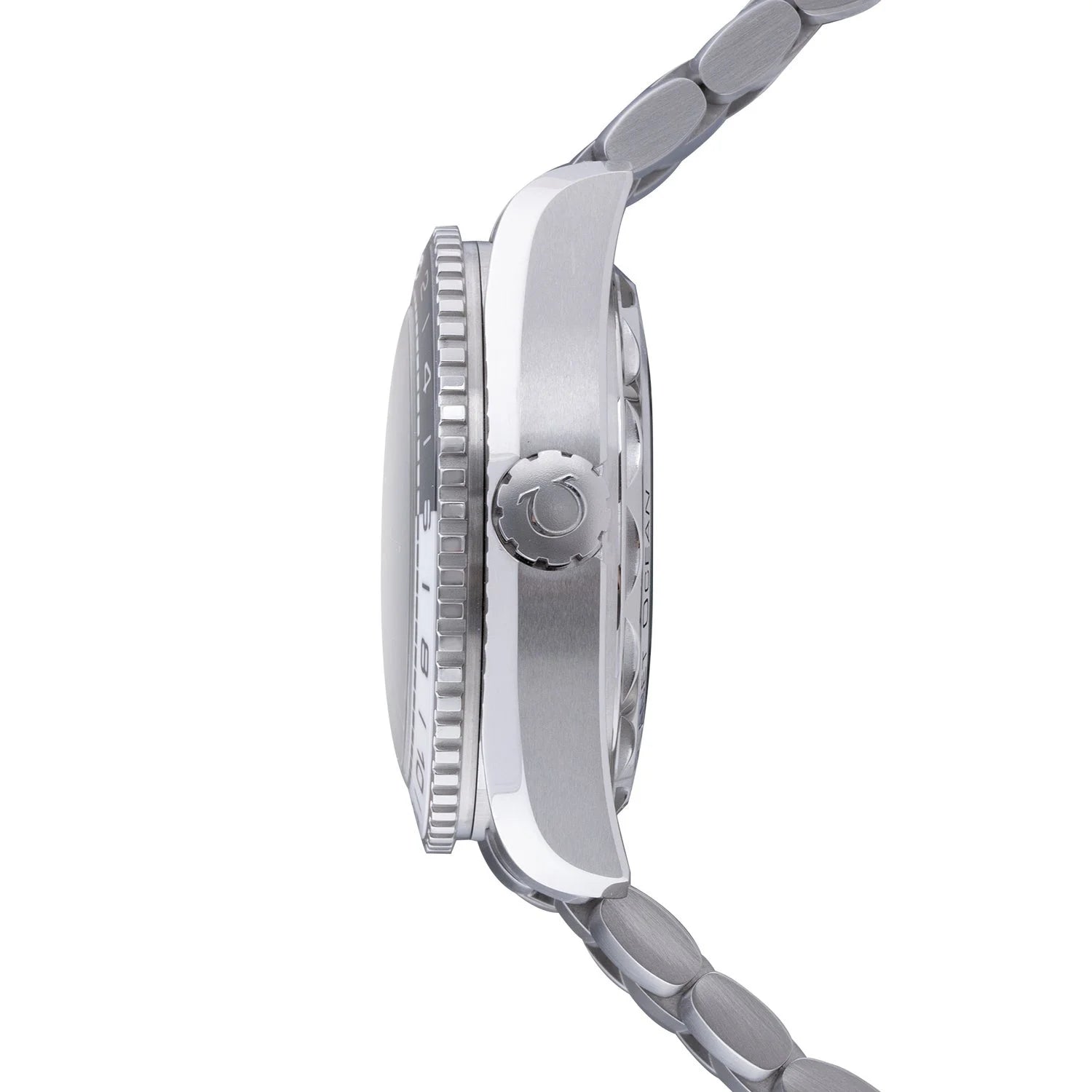 Seamaster Planet Ocean 600M GMT Watch