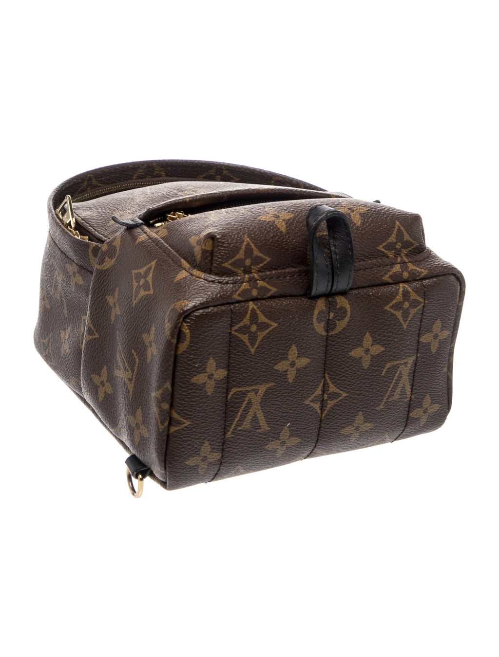 LV Monogram Palm Springs Mini