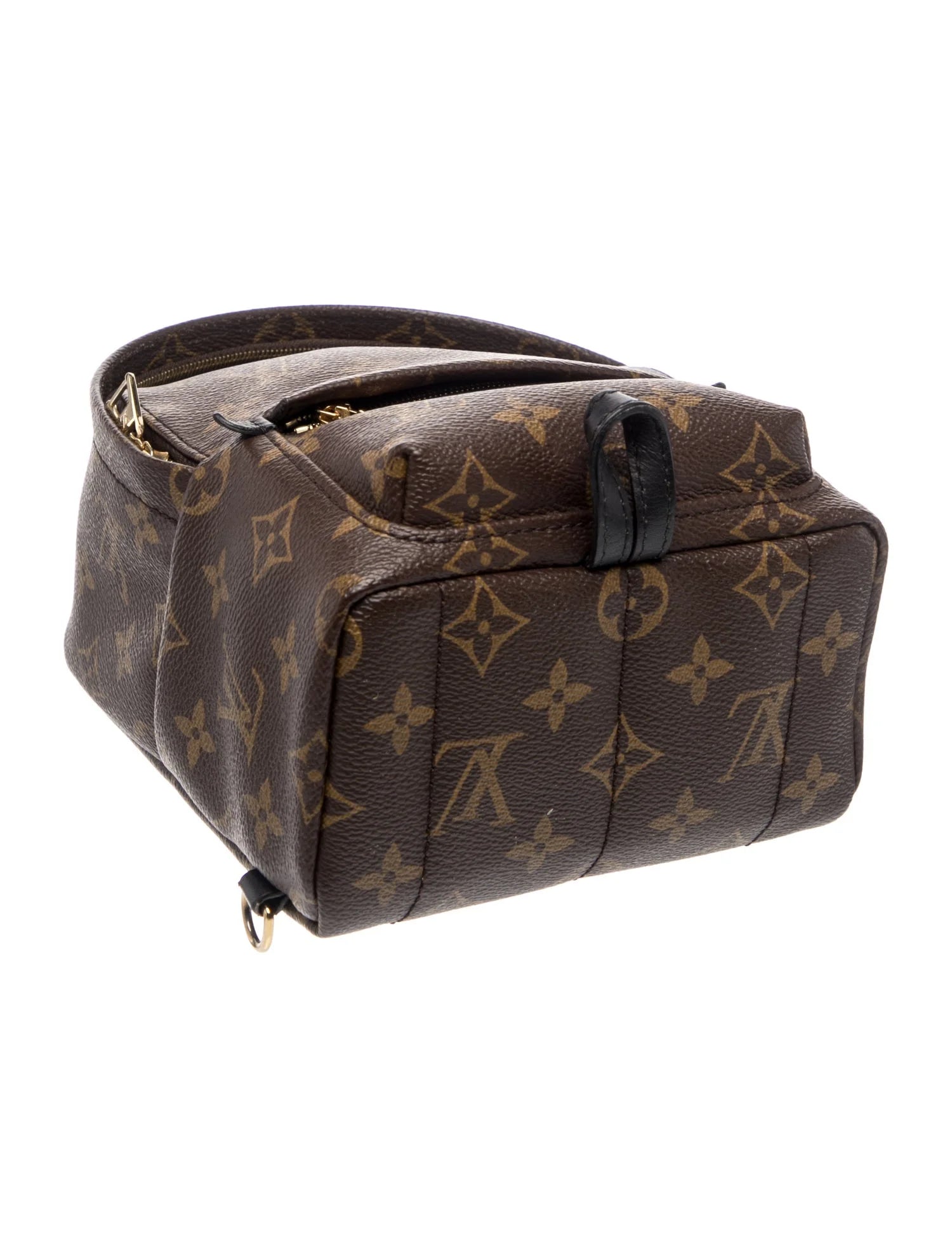 LV Monogram Palm Springs Mini