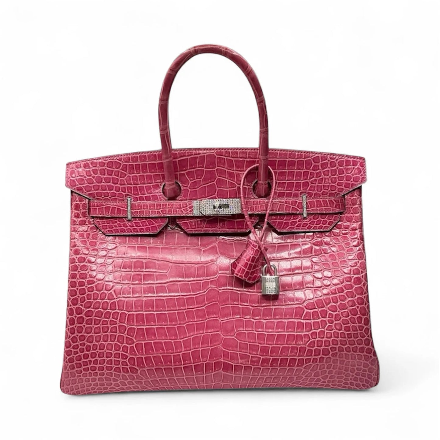 Porosus Crocodile 18k Diamond Birkin 35
