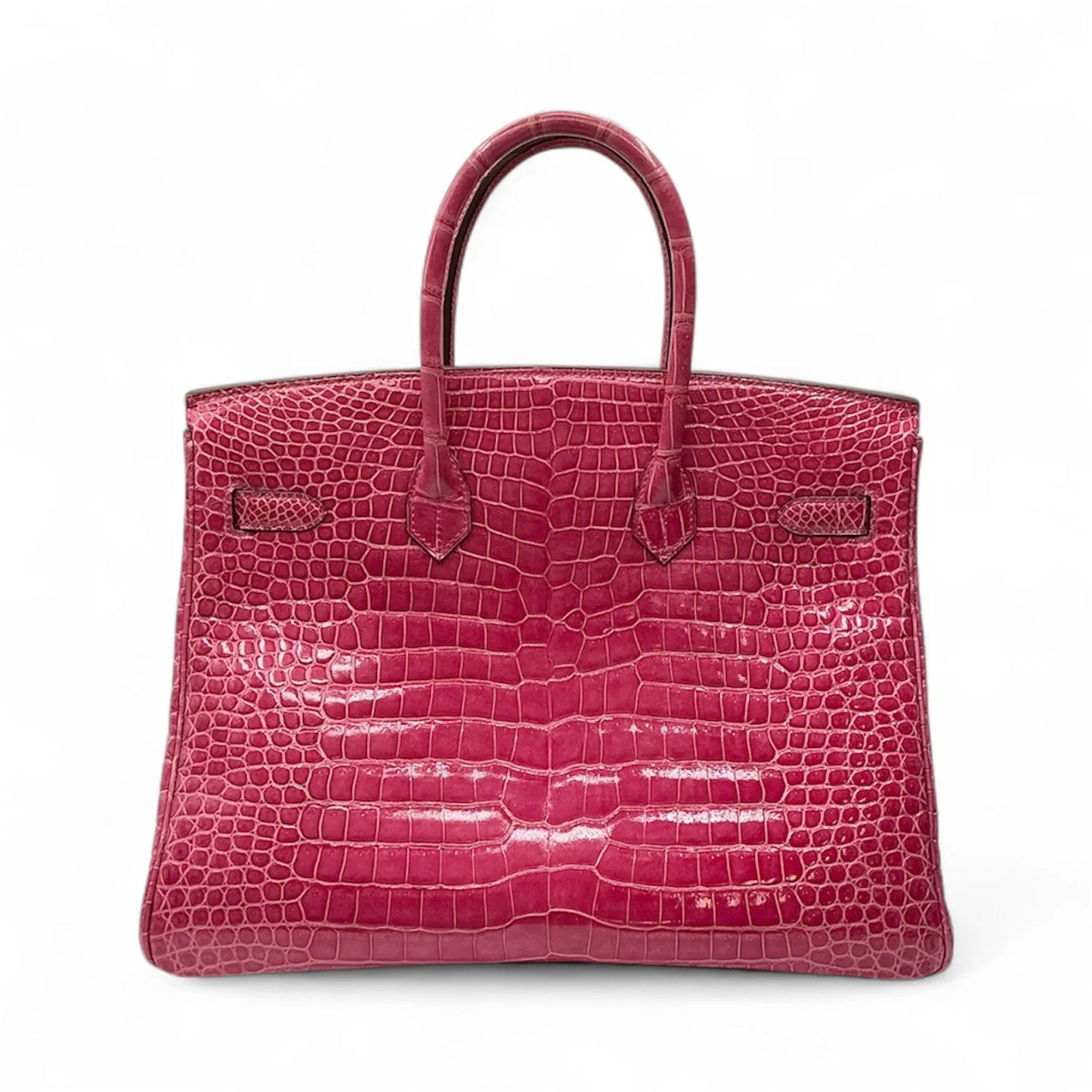 Porosus Crocodile 18k Diamond Birkin 35