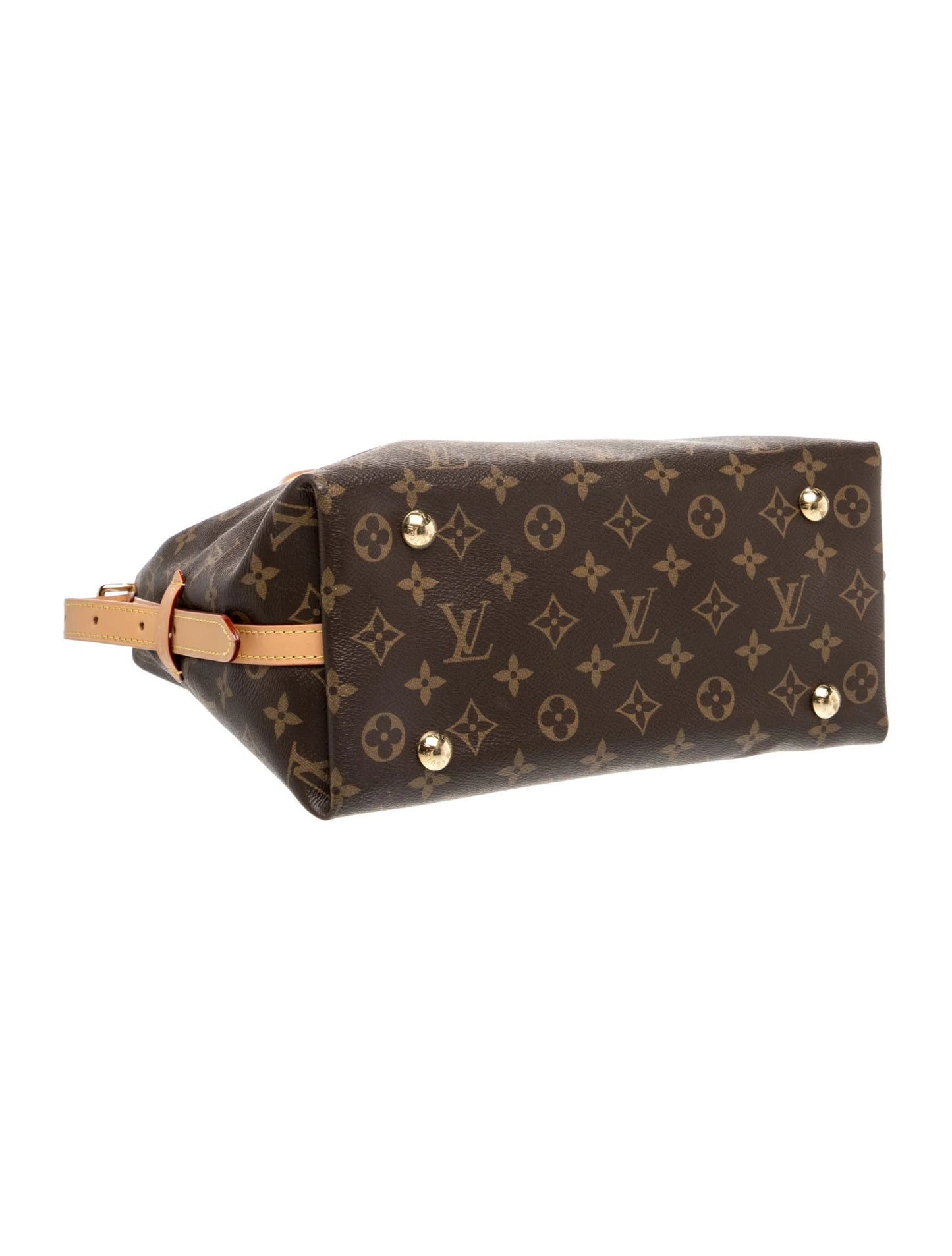 LV Monogram Carryall PM